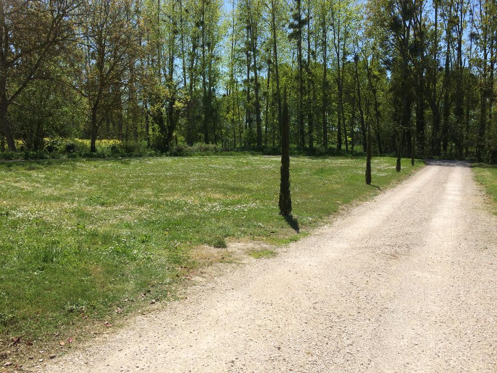 Gite Du Ruisseau De La Renne Thésée Zewnętrze zdjęcie